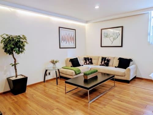 Sala de estar moderna en el apartamento Casa Donceles con sofá color crema, mesa de centro negra, pisos de madera y arte botánico en la pared