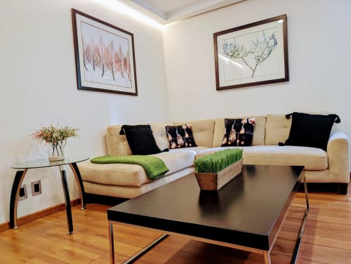 Sala moderna del apartamento Casa Donceles en la Ciudad de México con sofá crema, mesa de centro negra y arte botánico enmarcado