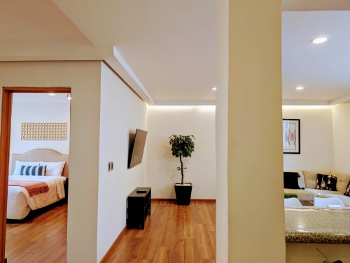 Pasillo moderno en el apartamento Casa Donceles con pisos de madera, planta en maceta, vista al dormitorio y espacios conectados
