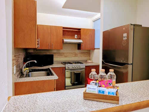 Cocina moderna del apartamento Casa Donceles en Ciudad de México con gabinetes de madera, electrodomésticos de acero inoxidable y encimeras de granito
