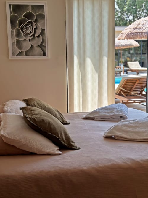 Chambre luxueuse à la villa La Maison D'ambrine à Chamaret avec vue sur la piscine, literie élégante et art succulent mural