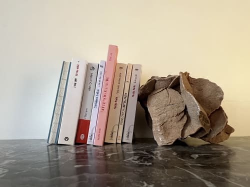 Détails, livres, bouquins, rose des sables