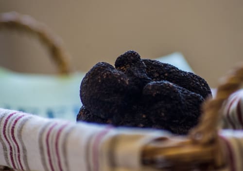 Truffes noires sur tissu blanc rayé à Home Sweet Lodge Glamping Aquitaine, Saint Germain et Mons