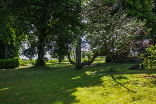 Parc arboré et ressourçant de la maison d'hôtes
