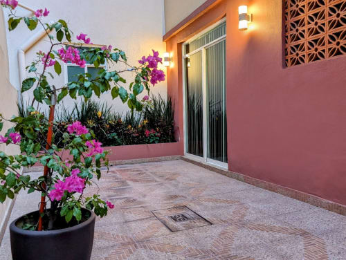Patio iluminado de Casa Donceles en la Ciudad de México con buganvilia magenta, muros de terracota y puertas de cristal