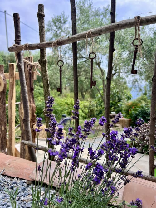 Fleurs de lavande violette et clés vintage suspendues à une structure en bois rustique dans le jardin de l'Agritusmo Stecadò, Dolceacqua