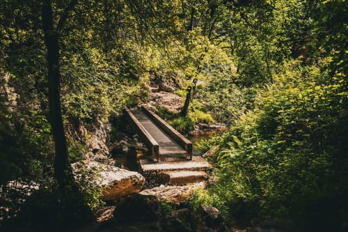 Puente de madera cruzando arroyo en frondoso bosque de Casa Rural Sensaciones, Cuevas de Viñayo