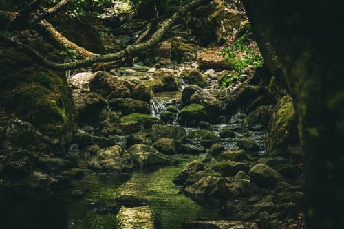 Rocas cubiertas de musgo y arroyo en las Cuevas de Viñayo cerca del hotel Casa Rural Sensaciones