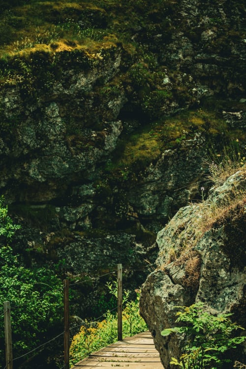 Pasarela de madera entre frondosa vegetación y rocas cubiertas de musgo en Casa Rural Sensaciones, Cuevas de Viñayo