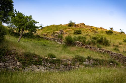Ladera ondulante con prado verde, vegetación dispersa y muros de piedra seca en Casa Rural Sensaciones cerca de Carrocera, España