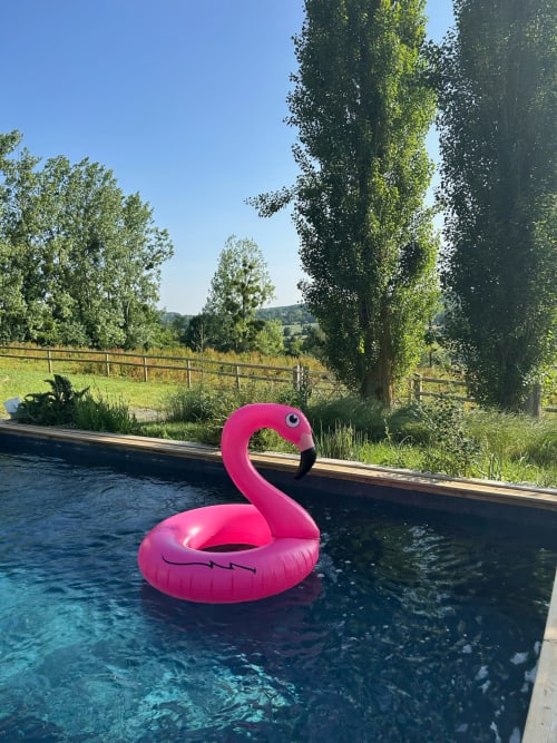 Pink flamingo pool float in swimming pool at Domaine de Blanvatel, Saint Pierre en Auge France