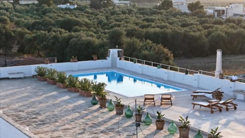 Villa Ceci a bordo piscina ad Andria - piscina rettangolare con lettini, piante in vaso e uliveti sullo sfondo