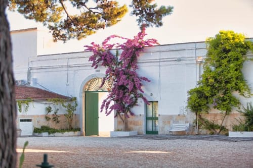 Cortile di Villa Ceci ad Andria con muri bianchi, porte verdi, bougainvillea magenta vivace e atmosfera mediterranea