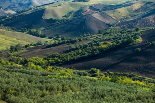Vista aerea della campagna ondulata di Atessa con campi coltivati e uliveti in Abruzzo