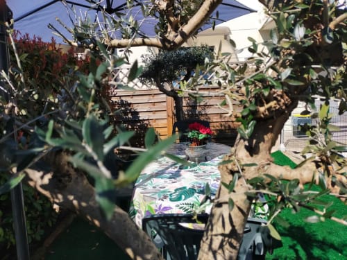 Lush garden patio at Casa Meravigliosa in Fontanafredda with olive trees, tropical plants, and colorful cushioned seating