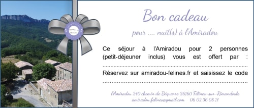 L'Amiradou gift certificate for 2-person stay in Félines-sur-Rimandeule with countryside view