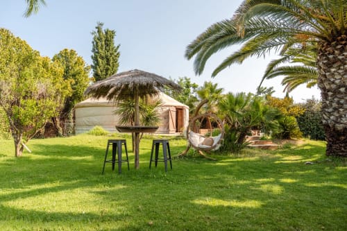 Grande pelouse ombragée avec palmiers et maison en arrière-plan — lieu parfait pour organiser un événement privé à Hyères.