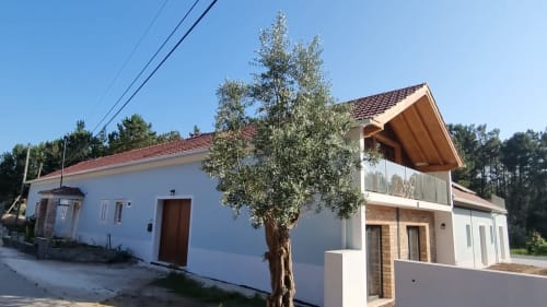 Fachada do apartamento Casa da Oliveirinha em Leiria com arquitetura moderna, vista do jardim e oliveira em Portugal