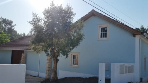 Light blue apartment Casa da Adega at Charm Discovery Experiences in Leiria, Portugal with garden view