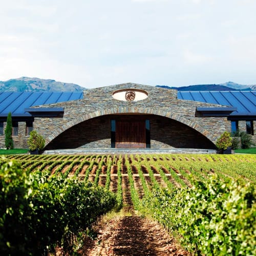 Edificio bodega moderno de piedra con entrada abovedada con vistas a viñedos en Arbancón, España