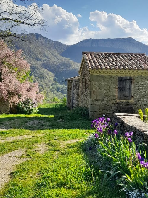 L'Amiradou countryside B&B garden with purple irises, stone building, and mountain views in Félines-sur-Rimandoule.