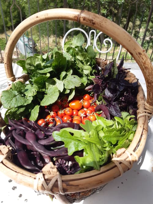 Fresh garden vegetables in wicker basket at L'Amiradou B&B, Félines-sur-Rimandoule