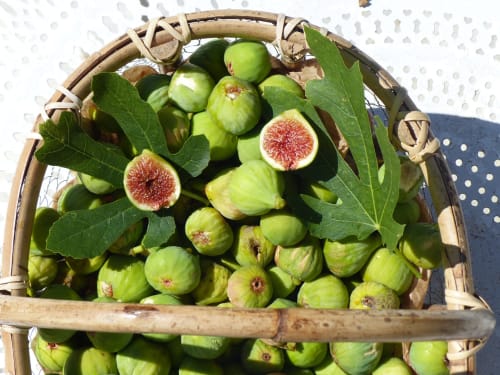 Fresh figs with leaves in wooden basket at L'Amiradou B&B, Félines-sur-Rimandoule