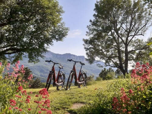 Two red bikes parked in a wildflower meadow with mountain views at L'Amiradou, Félines-sur-Rimandoule