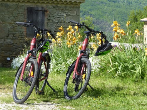 Two red mountain bikes parked in a garden with yellow irises at L'Amiradou guesthouse, Félines-sur-Rimandoule