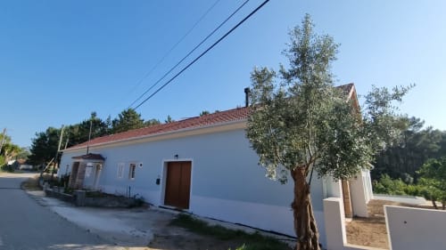 White villa exterior with red-tiled roof, olive tree, and patio at Quinta da Oliveirinha eco-villa in Leiria, Portugal