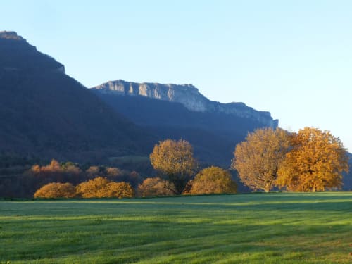 Golden autumn trees in green valley with dramatic cliffs backdrop at L'Amiradou, Félines-sur-Rimandoule