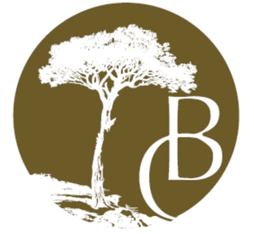 Logo Château de Baylac : arbre stylisé aux branches blanches sur fond olive et lettre B, Bugnein BnB