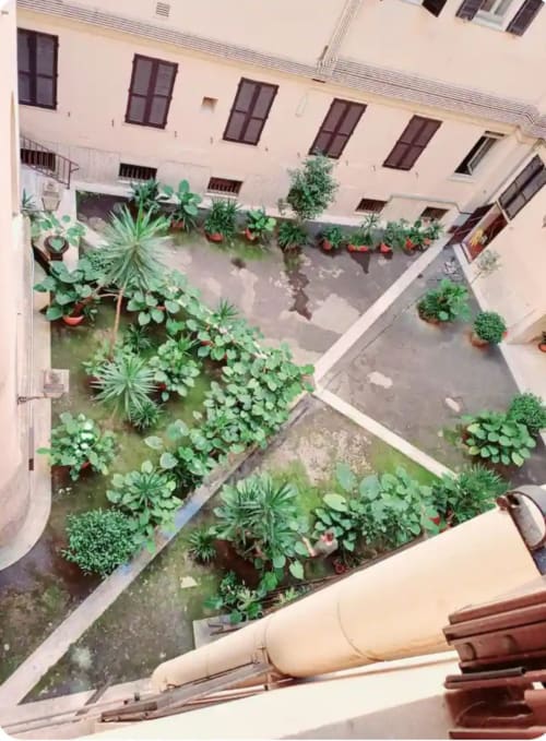 Vista aerea del giardino cortilizio della Michelangelo Suite Roma con piante in vaso e vegetazione mediterranea