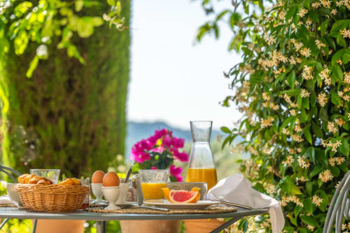 Petit-déjeuner en Provence