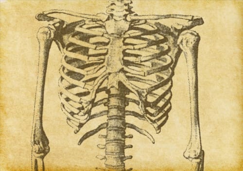 The major articular pathway of the body at Casa Terapia