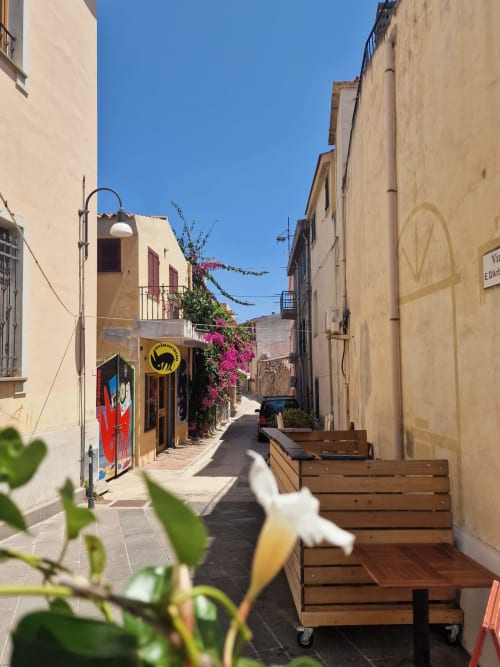 Charming narrow street in Orosei with traditional buildings, wooden benches, vibrant pink bougainvillea, and local shop