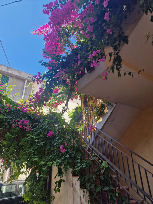 Vibrant magenta bougainvillea cascading down a stairwell at Casa Arborea in Orosei, Italy, against clear blue sky