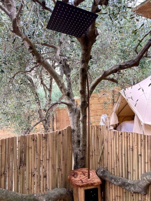 Olivier avec voile d'ombrage noir dans le jardin de l'Agritourisme Stecadò à Dolceacqua, entouré de clôture en bambou et tonnelle