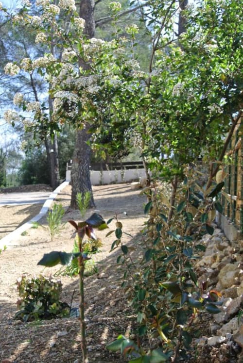 Allée du jardin à la CARPE DIEM Résidence Hôtelière de Lorgues avec arbres en fleurs et potagers