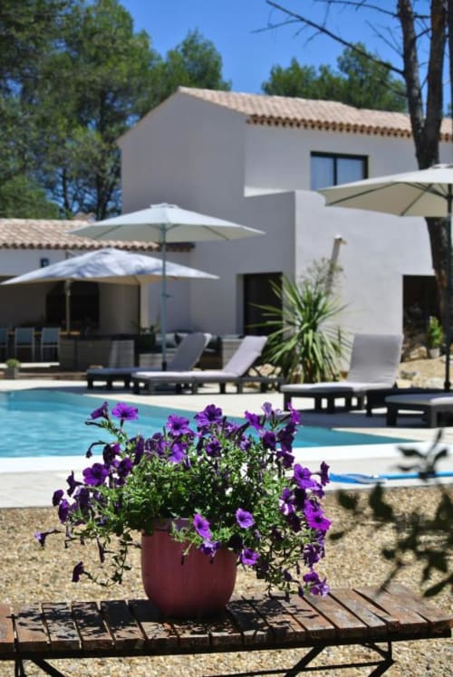 Pétunias violets en pot en terre cuite à la piscine de la Résidence Hôtelière CARPE DIEM, Lorgues