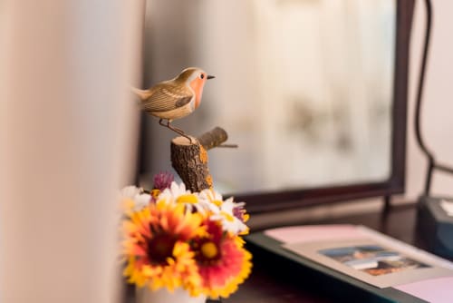 Small robin perched on a branch above colorful flowers in L'Amiradou's bird-themed room le Casséniou, Félines-sur-Rimandoule