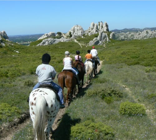 🌿 Balades et randonnées à cheval dans les Alpilles avec Le Petit Roman
