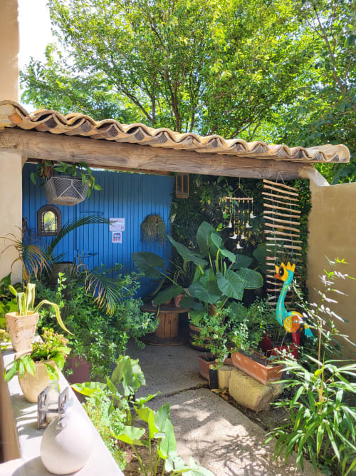 Entrée verdoyante de Le Cabanon du Clos, Isle sur la Sorgue, avec volets bleus et pergola en bois