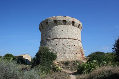 Tour-génoise-corse-location-favone