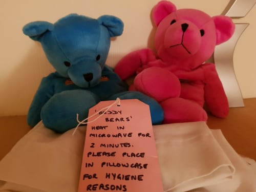Two plush teddy bears with care instructions tag at Jane's B&B Guisborough apartment