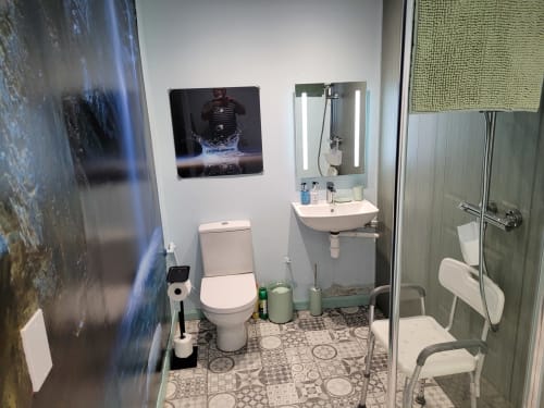 Modern bathroom in Jane's B&B Guisborough apartment with toilet, sink, mirror, shower, and decorative wall art