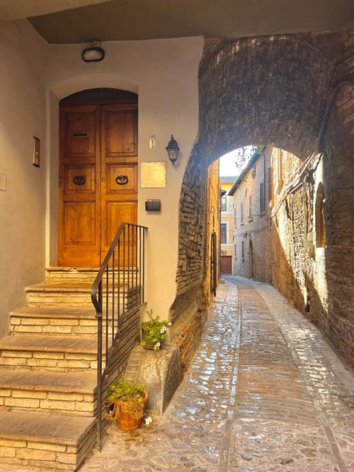 Affascinante vicoletto a Spello con edifici in pietra, porta in legno, fiori in vaso e ciottoli bagnati