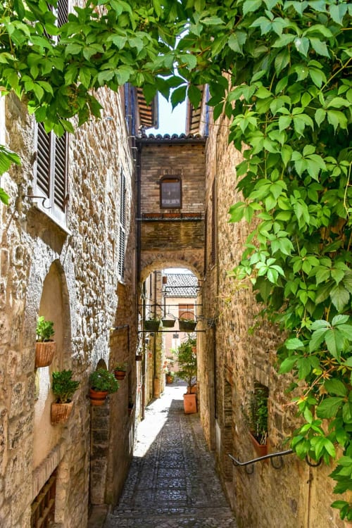 Stretto vicolo in pietra nella Residenza San Jacopo a Spello, circondato da muri ricoperti di edera e vasi in terracotta