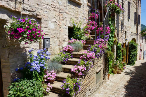 Affascinante vicolo in ciottolato a Residenza San Jacopo a Spello, Italia, bordato da vivaci fiori rosa e viola