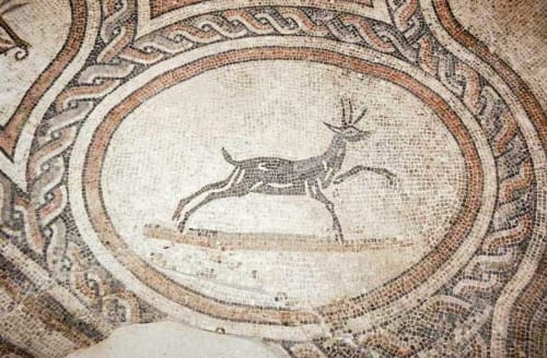 Antico mosaico romano raffigurante una gazzella che salta, esposto presso la Residenza San Jacopo a Spello, Italia